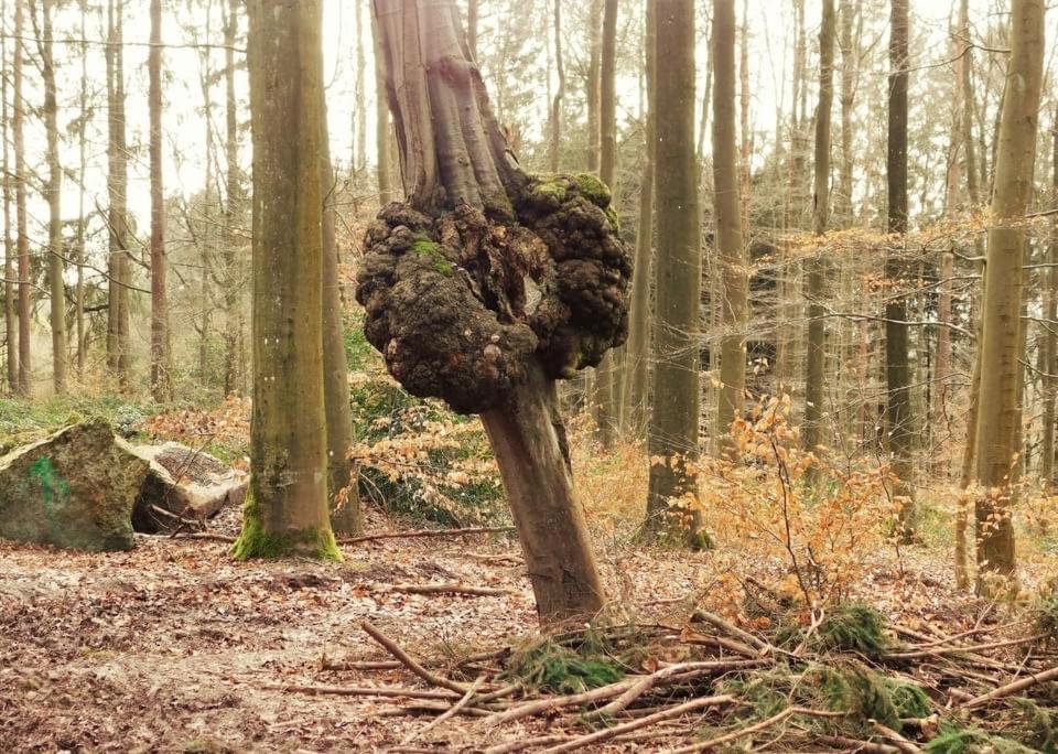 Le Chant De L Aisne Érezée Eksteriør billede